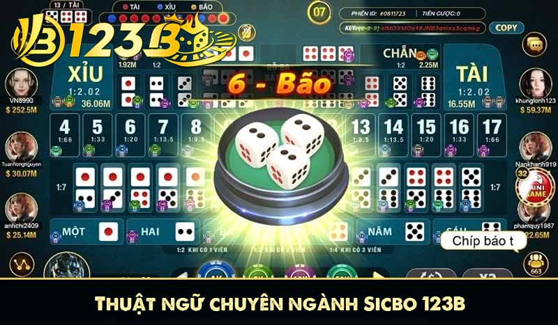 Thuật ngữ chuyên ngành Sicbo 123B